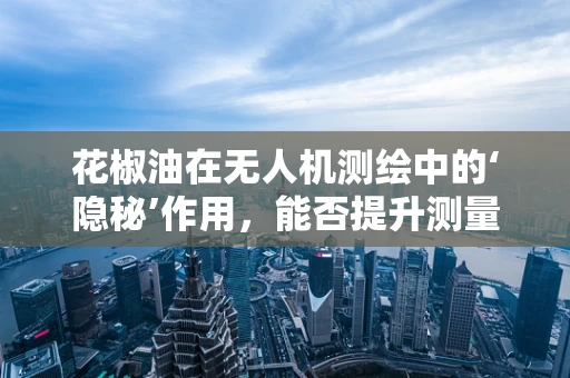 花椒油在无人机测绘中的‘隐秘’作用，能否提升测量精度？
