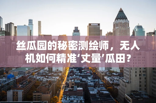 丝瓜园的秘密测绘师，无人机如何精准‘丈量’瓜田？