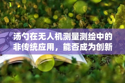 汤勺在无人机测量测绘中的非传统应用，能否成为创新的辅助工具？