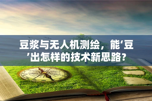 豆浆与无人机测绘，能‘豆’出怎样的技术新思路？