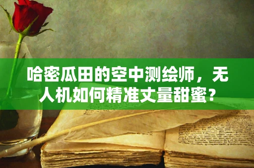 哈密瓜田的空中测绘师，无人机如何精准丈量甜蜜？