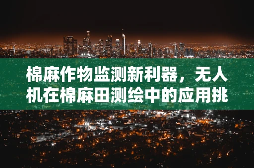 棉麻作物监测新利器，无人机在棉麻田测绘中的应用挑战