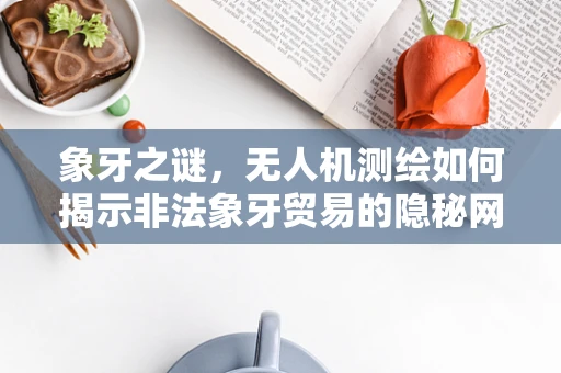 象牙之谜，无人机测绘如何揭示非法象牙贸易的隐秘网络？