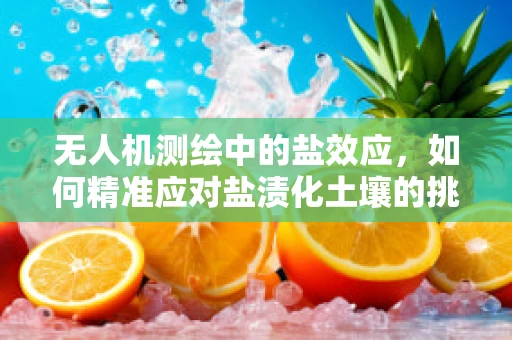 无人机测绘中的盐效应，如何精准应对盐渍化土壤的挑战？