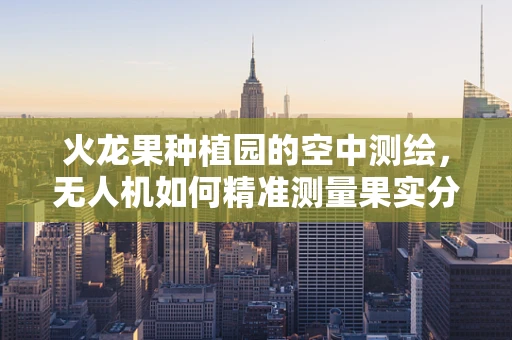 火龙果种植园的空中测绘，无人机如何精准测量果实分布？