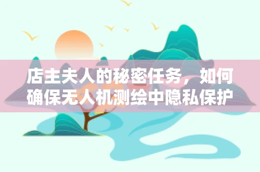 店主夫人的秘密任务，如何确保无人机测绘中隐私保护？