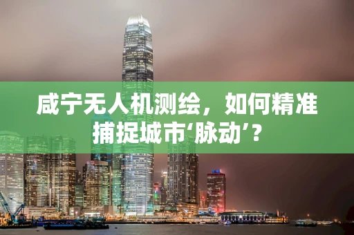 咸宁无人机测绘，如何精准捕捉城市‘脉动’？