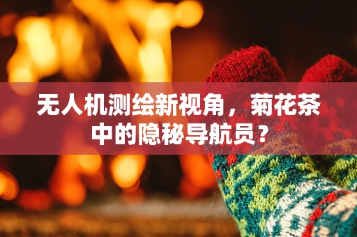 无人机测绘新视角，菊花茶中的隐秘导航员？