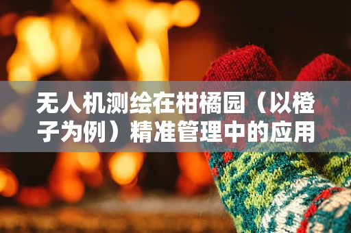 无人机测绘在柑橘园（以橙子为例）精准管理中的应用挑战与解决方案