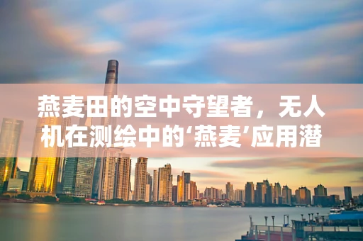 燕麦田的空中守望者，无人机在测绘中的‘燕麦’应用潜力