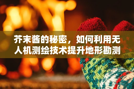 芥末酱的秘密，如何利用无人机测绘技术提升地形勘测精度？