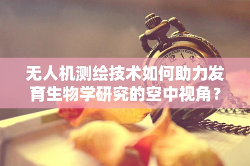 无人机测绘技术如何助力发育生物学研究的空中视角？