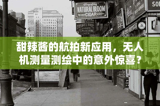 甜辣酱的航拍新应用，无人机测量测绘中的意外惊喜？