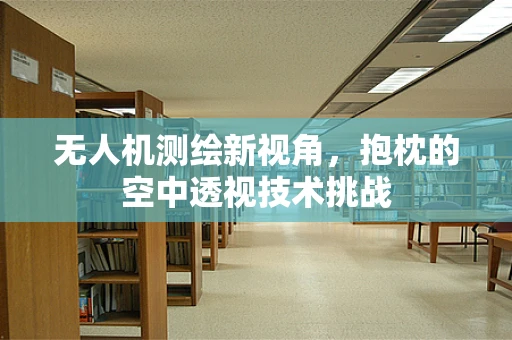 无人机测绘新视角，抱枕的空中透视技术挑战