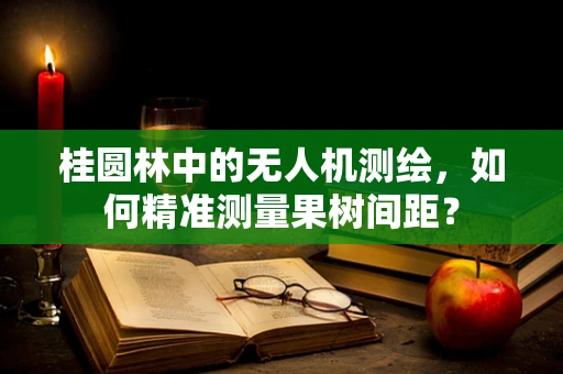 桂圆林中的无人机测绘，如何精准测量果树间距？