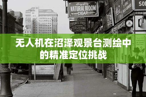 无人机在沼泽观景台测绘中的精准定位挑战