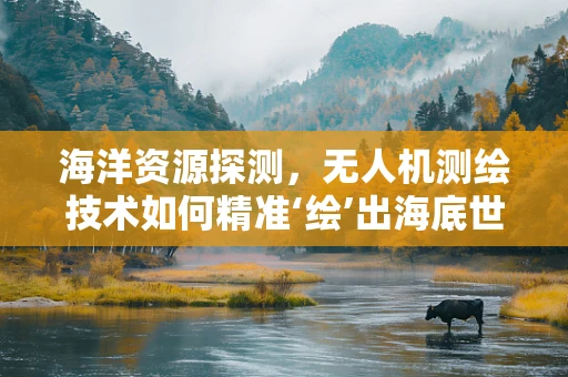海洋资源探测，无人机测绘技术如何精准‘绘’出海底世界？