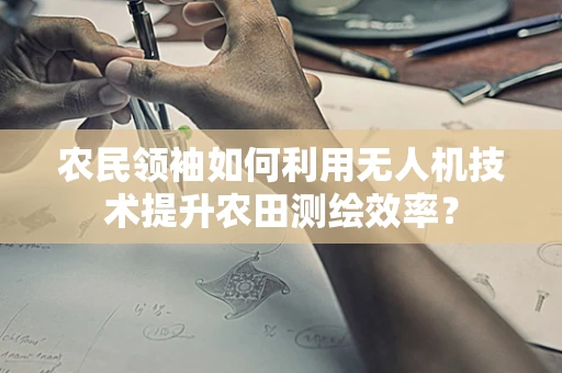 农民领袖如何利用无人机技术提升农田测绘效率？