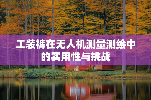 工装裤在无人机测量测绘中的实用性与挑战