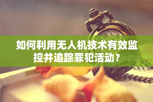 如何利用无人机技术有效监控并追踪罪犯活动？