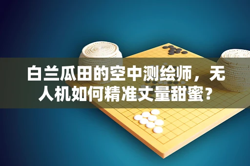白兰瓜田的空中测绘师，无人机如何精准丈量甜蜜？