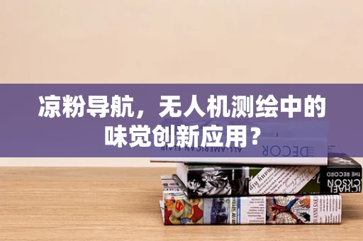 凉粉导航，无人机测绘中的味觉创新应用？