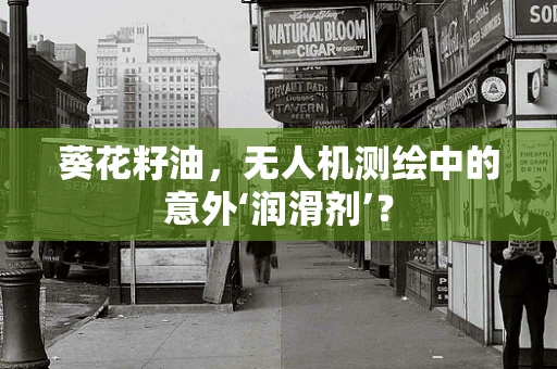 葵花籽油，无人机测绘中的意外‘润滑剂’？