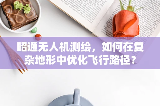 昭通无人机测绘，如何在复杂地形中优化飞行路径？