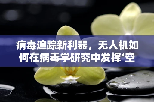 病毒追踪新利器，无人机如何在病毒学研究中发挥‘空中哨兵’作用？