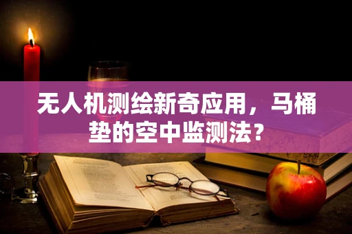 无人机测绘新奇应用，马桶垫的空中监测法？