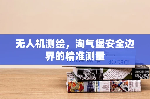 无人机测绘，淘气堡安全边界的精准测量