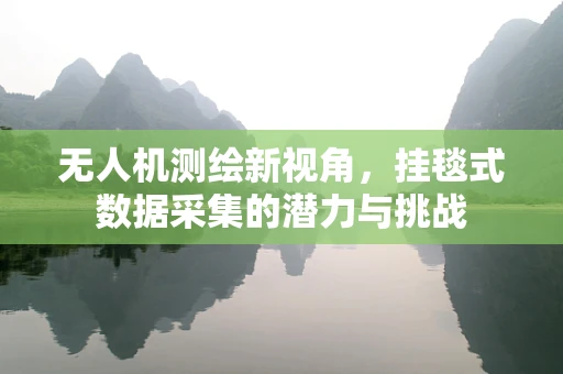 无人机测绘新视角，挂毯式数据采集的潜力与挑战