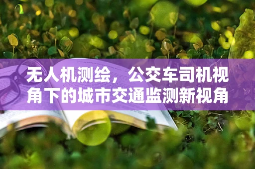 无人机测绘，公交车司机视角下的城市交通监测新视角？