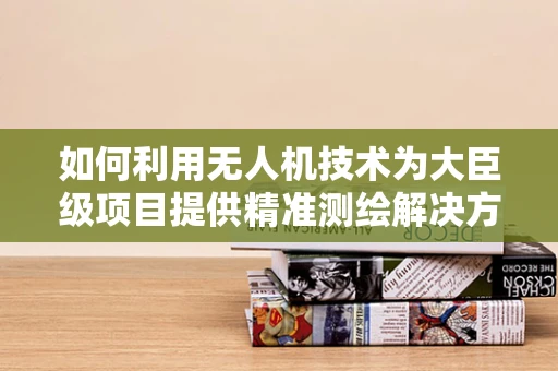 如何利用无人机技术为大臣级项目提供精准测绘解决方案？