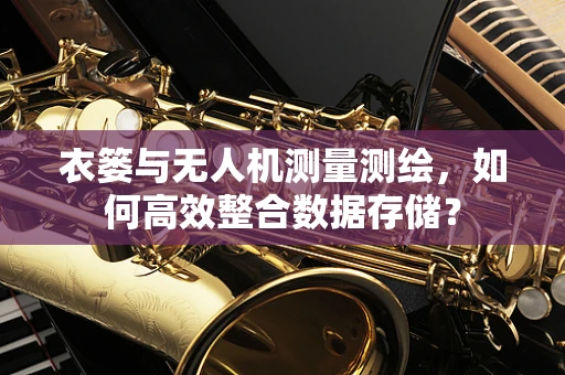 衣篓与无人机测量测绘，如何高效整合数据存储？