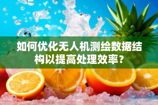如何优化无人机测绘数据结构以提高处理效率？
