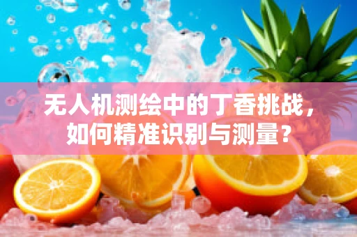 无人机测绘中的丁香挑战，如何精准识别与测量？