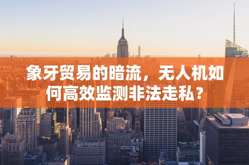 象牙贸易的暗流，无人机如何高效监测非法走私？