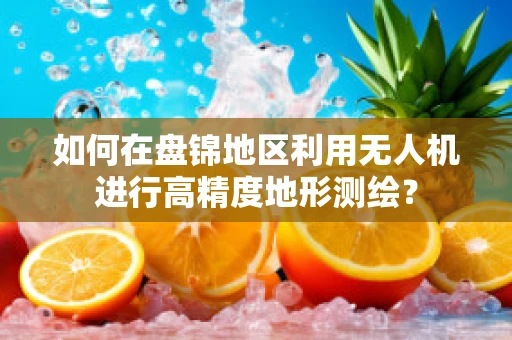 如何在盘锦地区利用无人机进行高精度地形测绘？