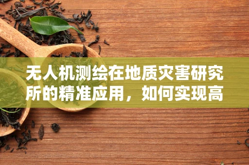 无人机测绘在地质灾害研究所的精准应用，如何实现高效监测与评估？