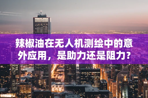 辣椒油在无人机测绘中的意外应用，是助力还是阻力？