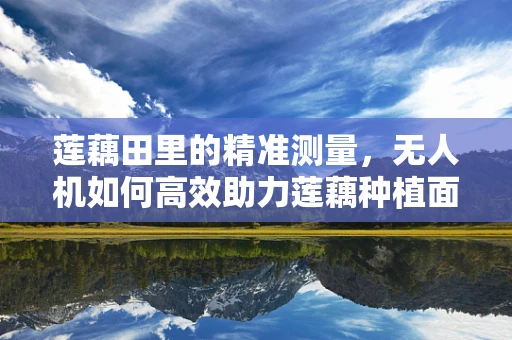 莲藕田里的精准测量，无人机如何高效助力莲藕种植面积测绘？