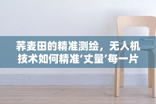 荞麦田的精准测绘，无人机技术如何精准‘丈量’每一片荞麦？