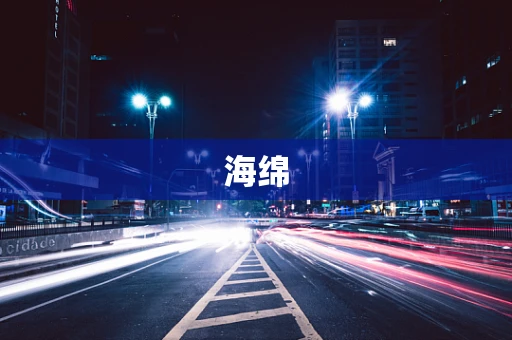 海绵