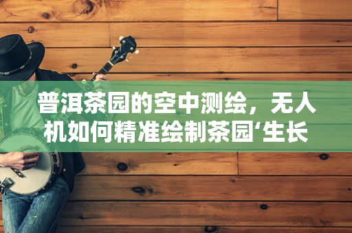 普洱茶园的空中测绘，无人机如何精准绘制茶园‘生长密码’？