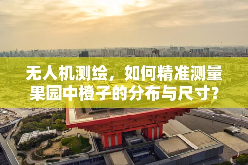 无人机测绘，如何精准测量果园中橙子的分布与尺寸？