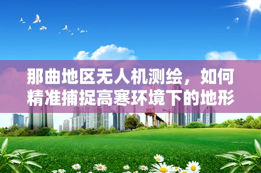 那曲地区无人机测绘，如何精准捕捉高寒环境下的地形细节？