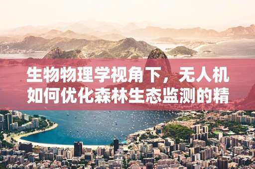 生物物理学视角下，无人机如何优化森林生态监测的精准度？
