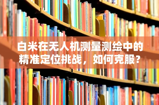 白米在无人机测量测绘中的精准定位挑战，如何克服？