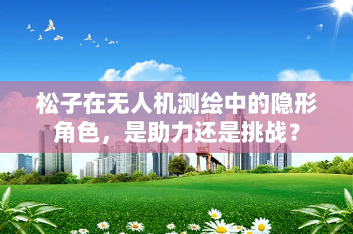 松子在无人机测绘中的隐形角色，是助力还是挑战？